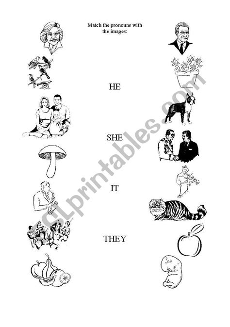 Matching Pronouns Esl Worksheet By Tan429