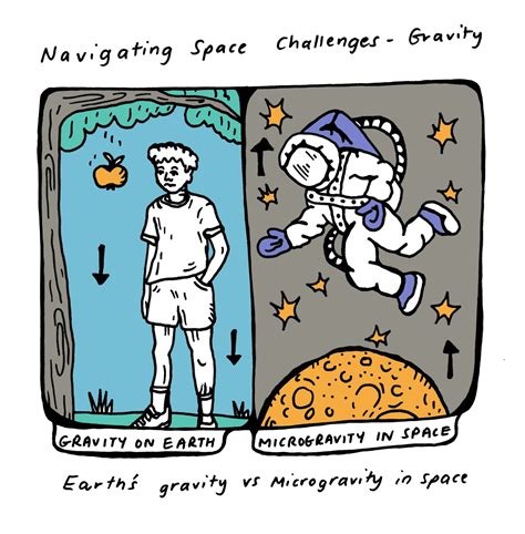 How do astronauts survive in space? - stemeez