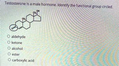 Testosterone Is A Male Hormone Identify The Functional Group Circled Aldehyde 0 Ketone Alcohol