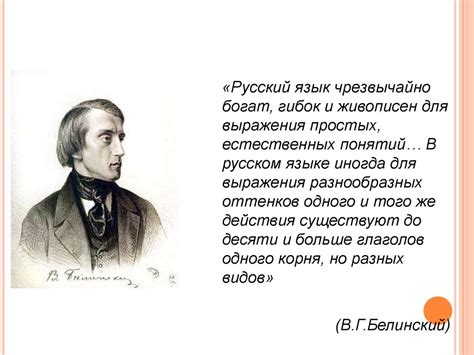 Лексикология как раздел лингвистики. Способы объяснения лексического ...