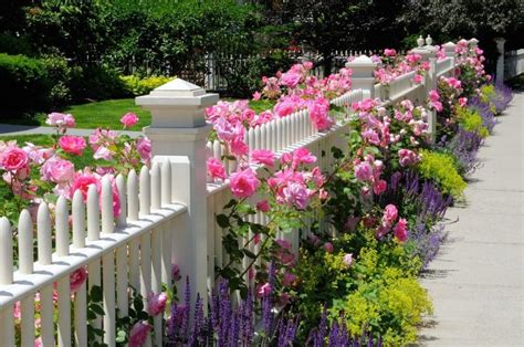 27 Beautiful White Fence Ideas to Add Curb Appeal to your Home