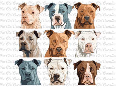 Pitbull Clipart Sheet Pitbull PNG Dog Clipart Cute Dog Clipart - Etsy UK
