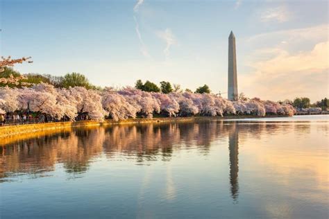 Need Some Fresh Air Top Outdoor Places To Visit In Washington Dc