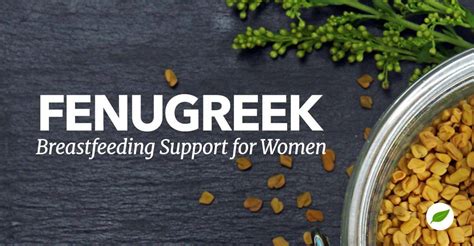 how much fenugreek to boost milk supply