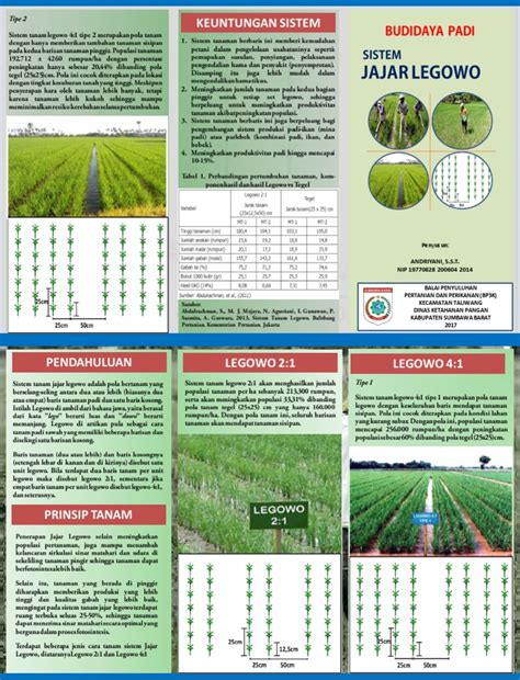 leaflet jajar legowo