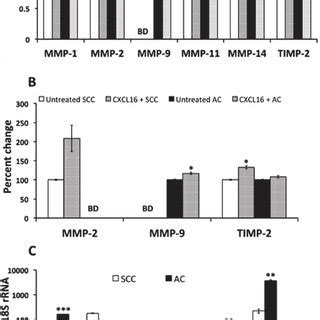 Cxcr And Cxcl Expression In Luca Cell Lines A Mrna Levels By