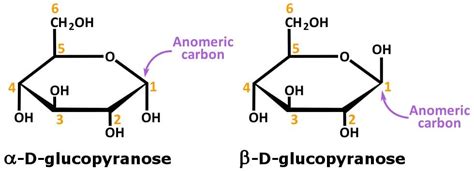 What's The Difference Between Epimers And Anomers? » ScienceABC