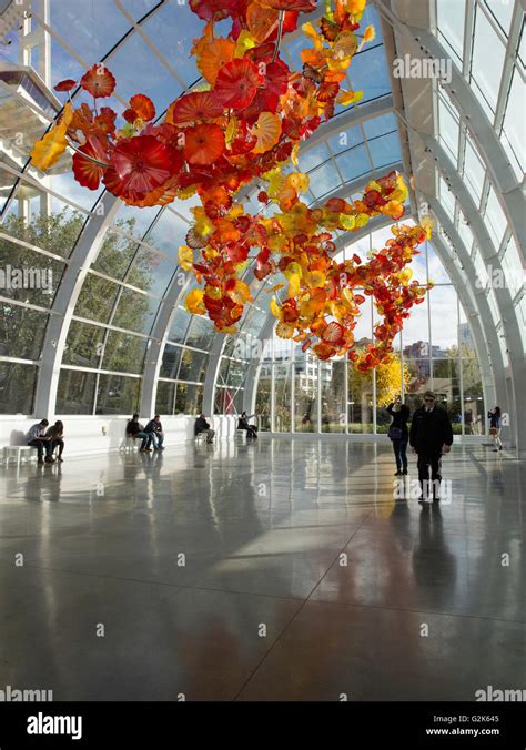 Suspended Glass Sculpture By Dale Chihuly Inside The Glasshouse At The