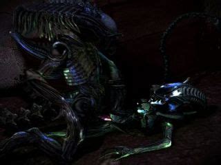 D Alien Hotntubes Porn