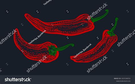 Red Pepper Chilli Vector Set Hot Stock Vector Royalty Free Shutterstock