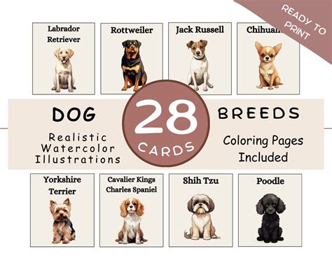 Dog Breeds Flashcards Printable Kids Pre-k Matching Activity Dog ...