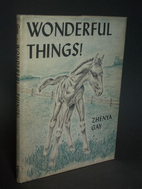 Wonderful Things By Gay Zhenya Very Good Hard Cover First Edition Bookworks Mwaba