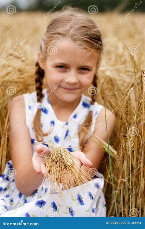 Girl In Cornfield Stock Image Image Of Corn Cornfield 29490299