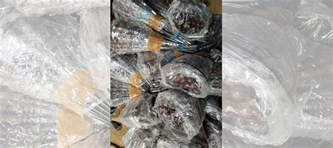 Шампура с деревянной ручкой купить в Пензе | Хобби и отдых | Авито
