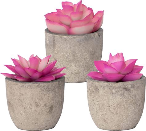 Amazon Sophia S Garden Pink Artificial Succulent Plants With