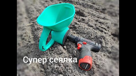 Сеем горчицу на сидераты - YouTube