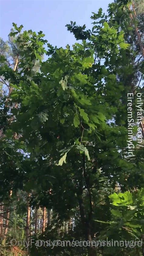 Watch Free Eireenskinnygirl Play With Me Daddy Xxx Onlyfans Porn Videos Porn Video CamPorn IS