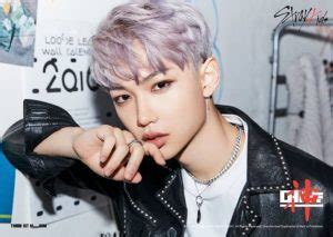 stray kids members profileage bio wiki facts  kpop members bio