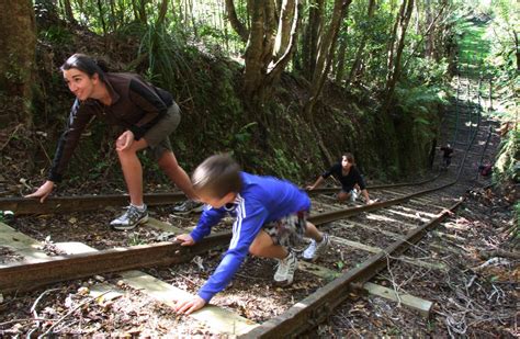 Waiorongomai Valley Tauranga Area Tracks And Walks