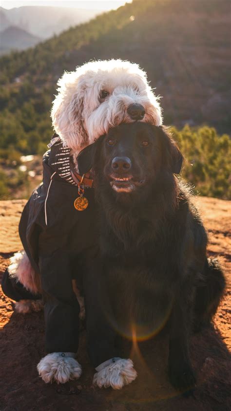 Why getting inmate info az is surprisingly faster than other states 1