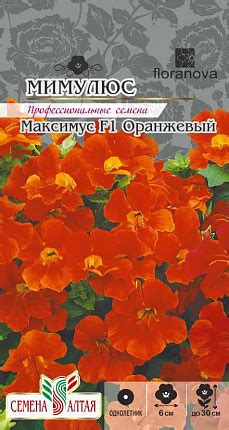 Купить питомник Гарден Класс – доставка почтой, СДЭК