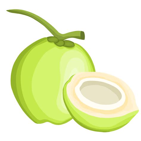 Clipart Of A Coconut