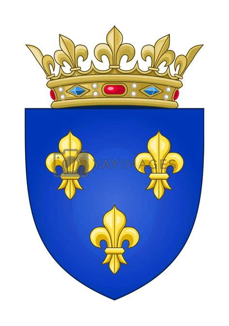 French Coat Of Arms By Speedfighter Vectors Illustrations With