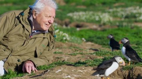 David Attenborough