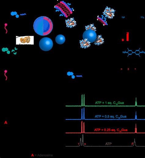 Design Of Atp Driven Self Assembled System A Schematic Download Scientific Diagram