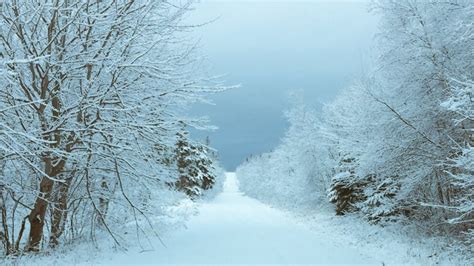 Weather Charlottetown Pei Cbc - Hetty Laraine