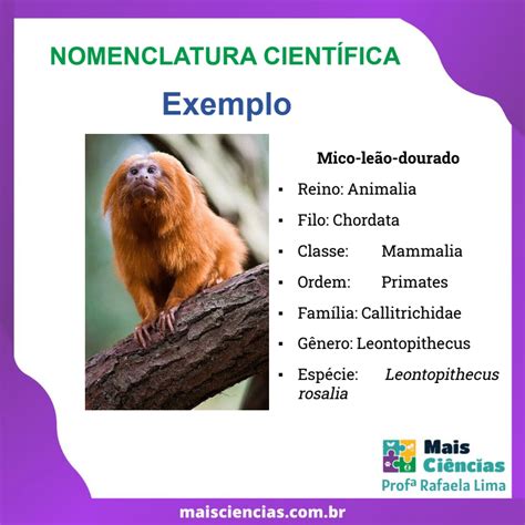 Nome Cientifico Dos Animais - Nomenclatura Científica - Mais Ciências - Professora Rafaela Lima ...