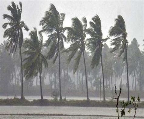 Bulbul Intensifies Into ‘very Severe Cyclonic Storm To Make Impact On