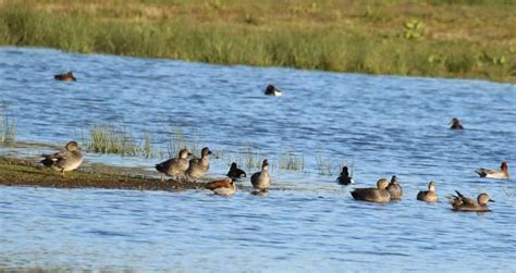 Rtv Vechtdal Mooie Natuurfotos Van Johan Poffers In Hardenberg