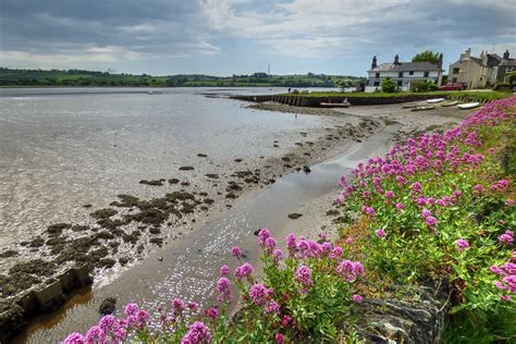 Estuary Bere Ferrers Devon Uk Mark Ac Flickr