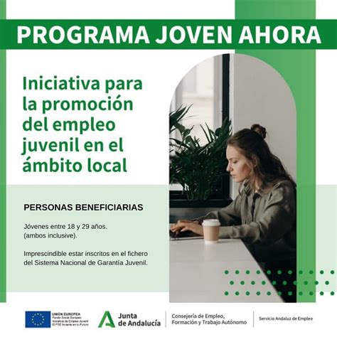 Iniciativa Para La Promoci N Del Empleo Juvenil En El Mbito Local