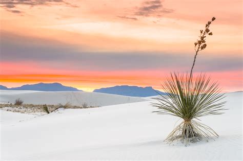 Sunset At White Sands National Monument New Mexico Deserts New