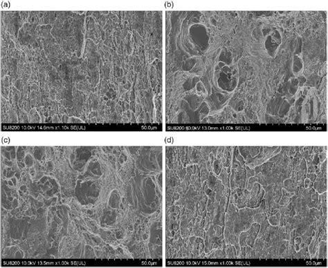 Micrographs Of The Fracture Surfaces In Tmazhaz Of As Welded And