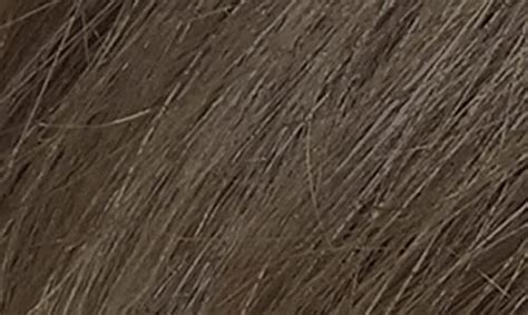 Naturtint Permanent Hair Color Pack A Dark Ash Blonde Pricepulse