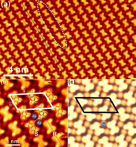 Self Assembly Of DBCh On Ag 111 At RT A STM Topography Of The Fully