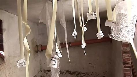 Rubia Milf Necesita Pollas Grandes Xhamster