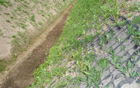Газонные решетки ECORASTER для укрепления грунта и склонов купить в ...