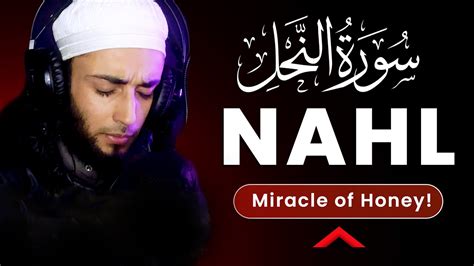 Surah Nahl Beautiful Quran Recitation Emotional Surah Al Nahl