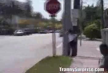 TrannySurprise Park Pussy AShemaletube