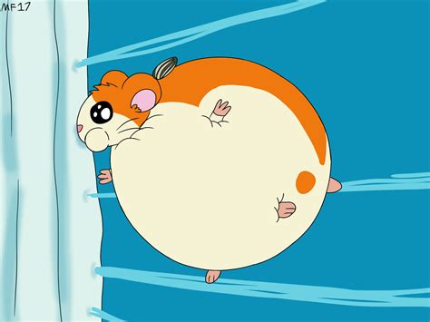 Hamtaro Water Inflation By Mario Felix17 On Deviantart