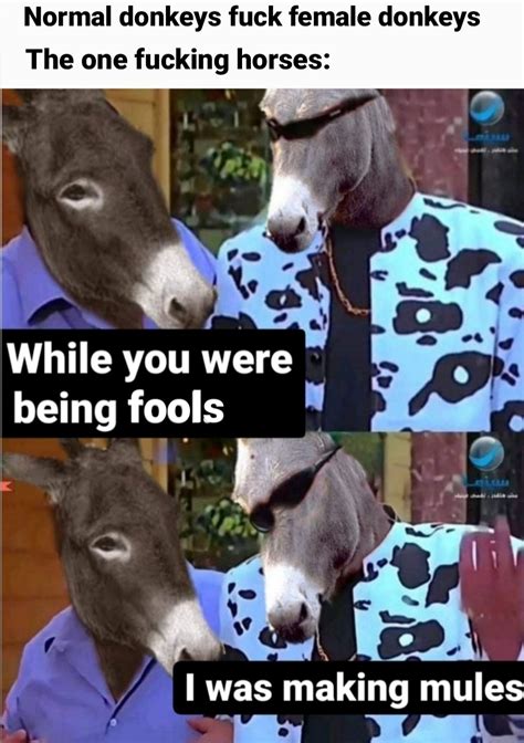 Gangster Ass R Dankmemes