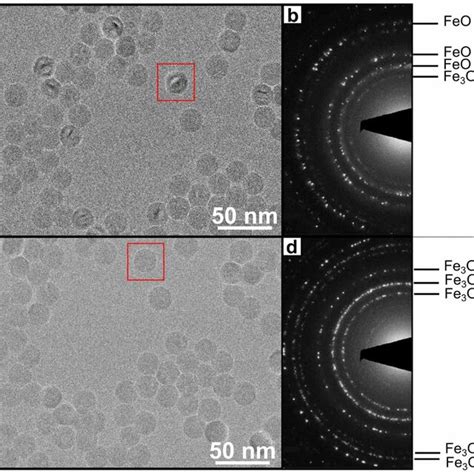 TEM A And SAD B Images Of FeO Fe3O4 Coreshell Nanoparticles Taken