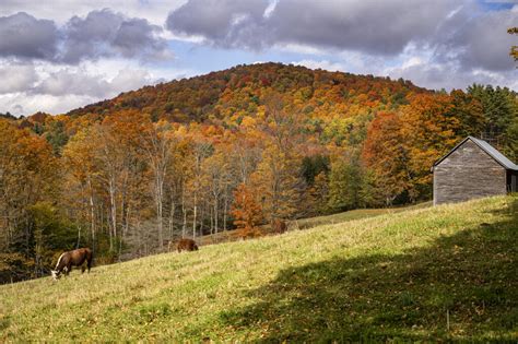 Backroads – Tony Pratt Photography