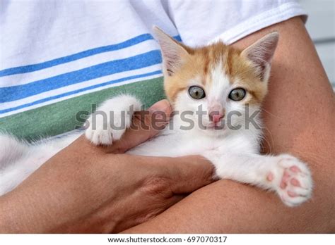 Tickling Her Pussy Close Royalty Free Images Stock Photos Pictures Shutterstock