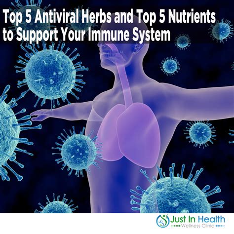 Top 5 Antiviral Herbs And Top 5 Nutrients To Support Your Immune System Podcast 276