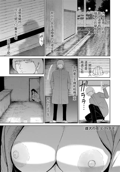 Mesuinu No Yoru Nhentai Hentai Doujinshi And Manga